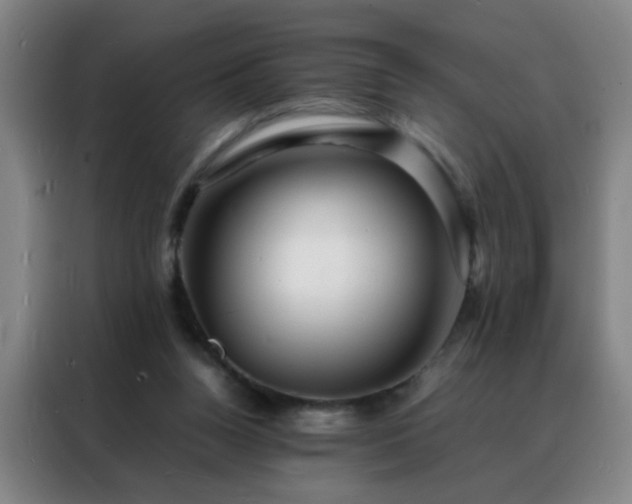 X0000088130160200705211123