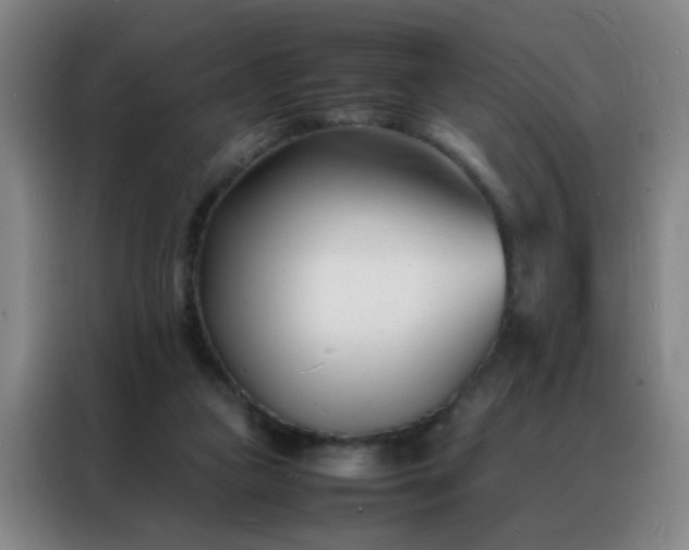 X0000088130161200705211123