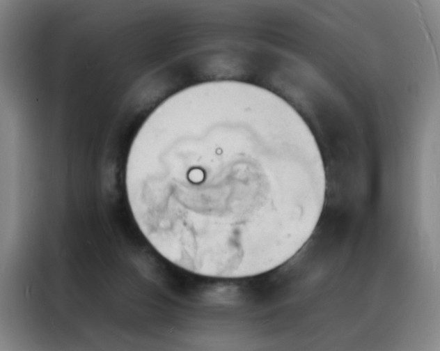 X0000088130162200705211123