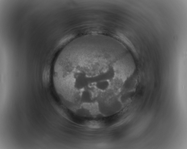 X0000088130163200705211123