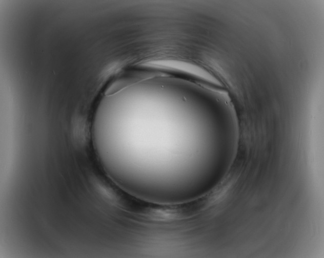 X0000088130164200705211123