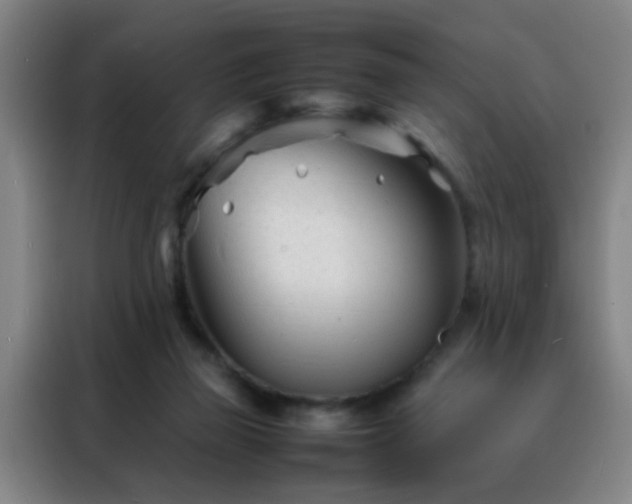 X0000088130165200705211123