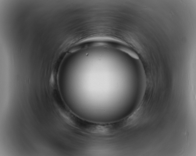 X0000088130166200705211123