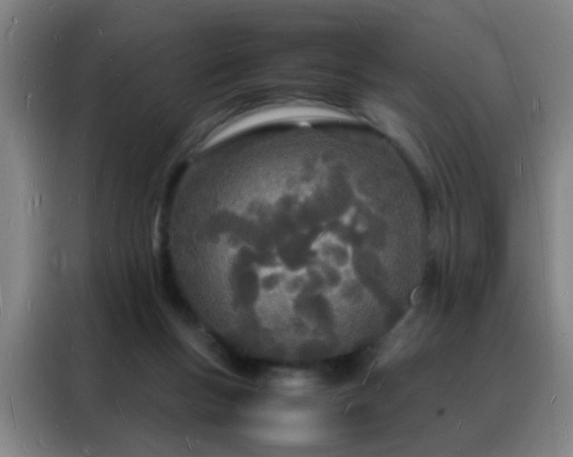 X0000088130167200705211123