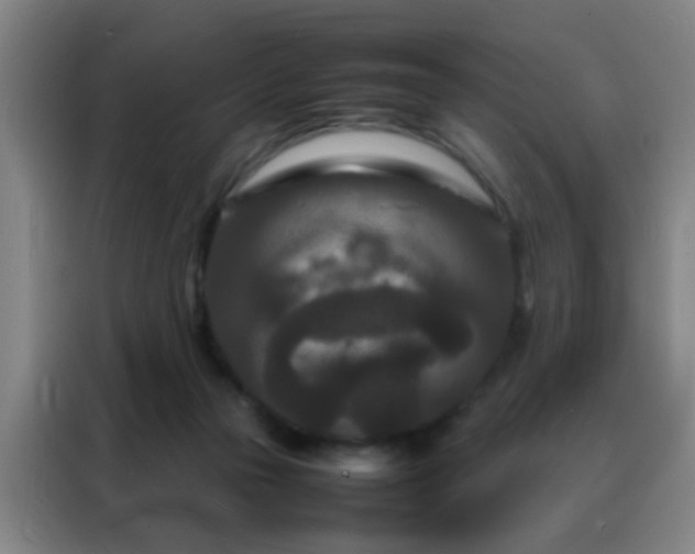 X0000088130169200705211123