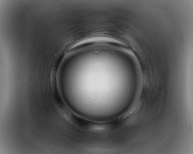 X0000088130171200705211123