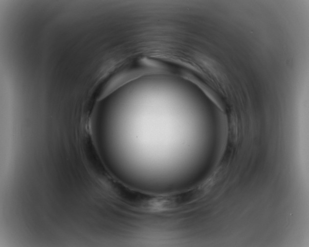 X0000088130172200705211123