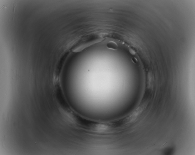 X0000088130176200705211123