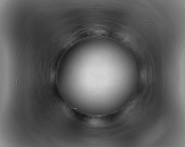 X0000088130177200705211123