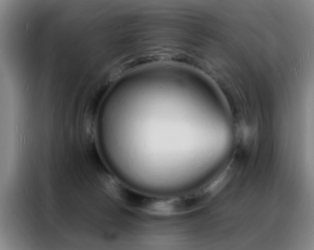 X0000088130178200705211123