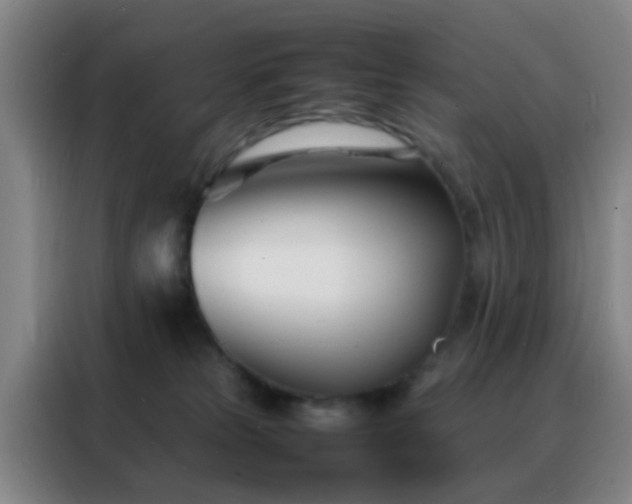 X0000088130181200705211123