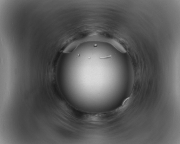 X0000088130182200705211123