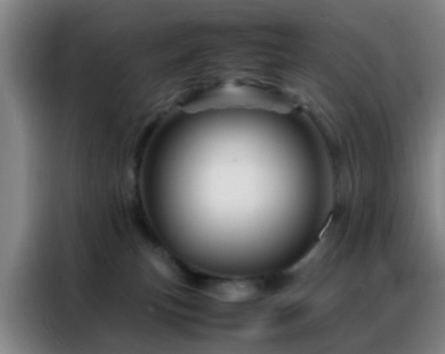 X0000088130183200705211123