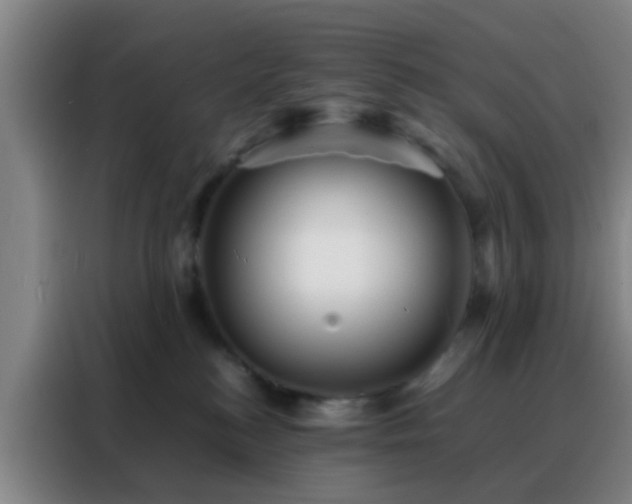 X0000088130184200705211123