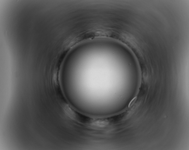 X0000088130185200705211123