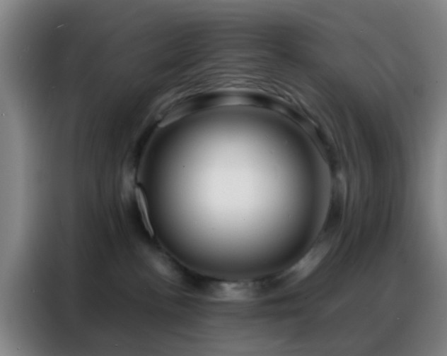 X0000088130188200705211123