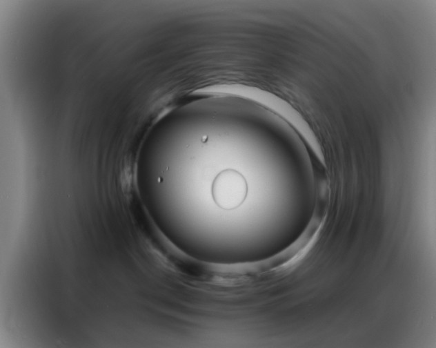 X0000088130190200705211123