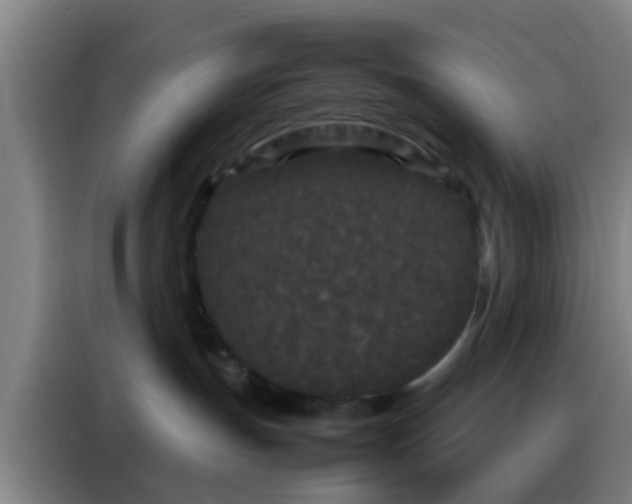 X0000088130191200705211123