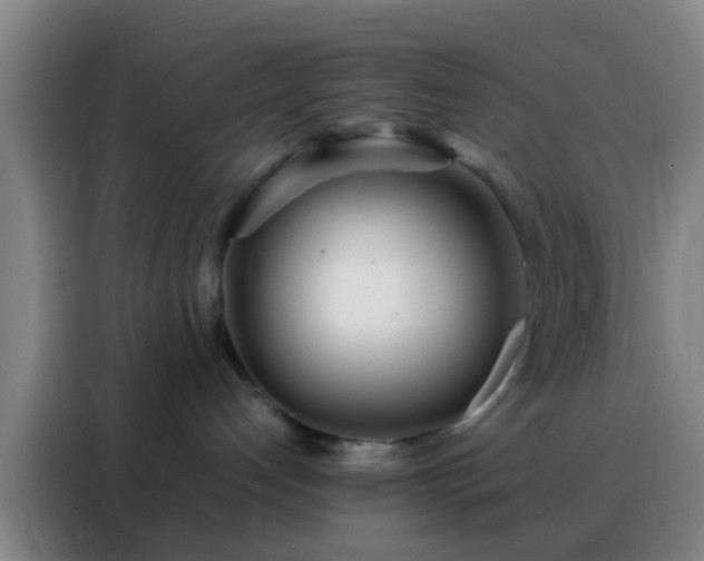 X0000088130192200705211123