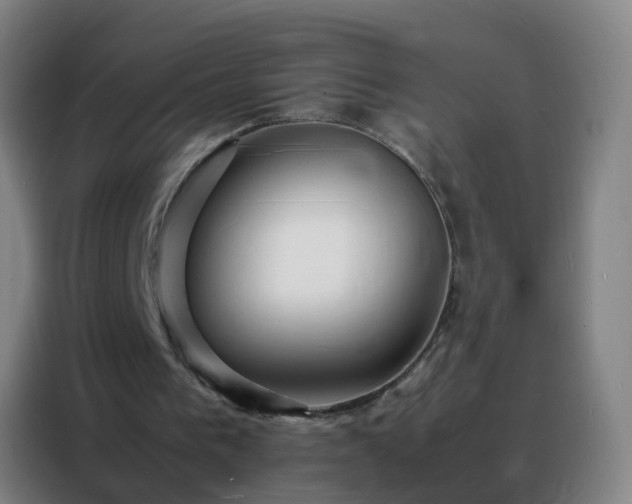 X0000088130193200705211122