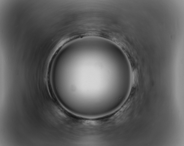 X0000088130195200705211122