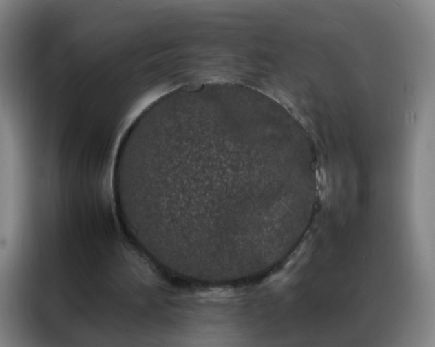 X0000088130196200705211122