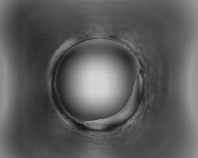 X0000088130197200705211122