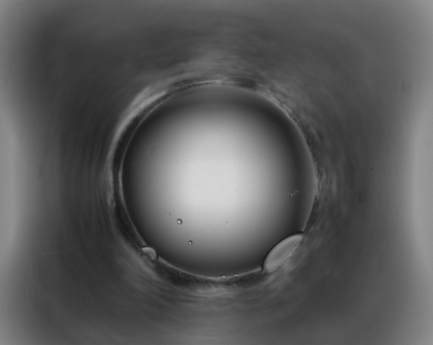 X0000088130198200705211122