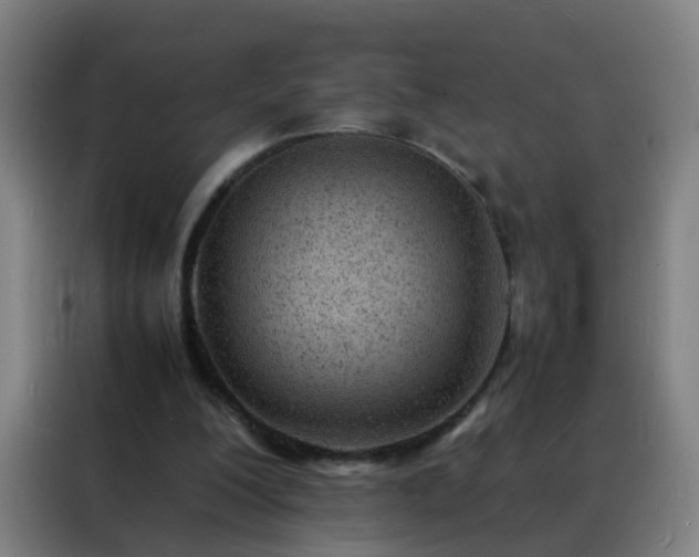 X0000088130200200705211122