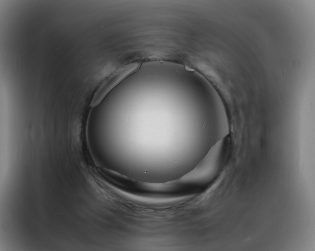 X0000088130201200705211122