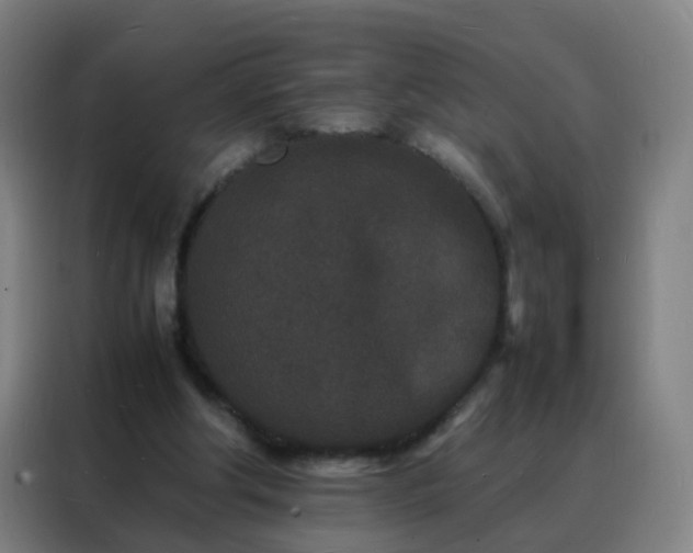 X0000088130202200705211122