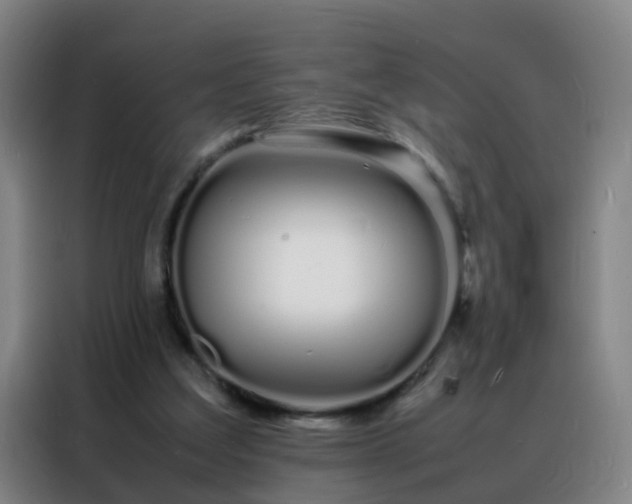 X0000088130203200705211122