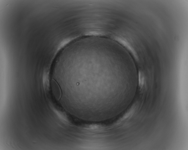 X0000088130204200705211122