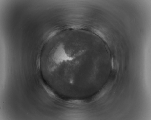 X0000088130205200705211122