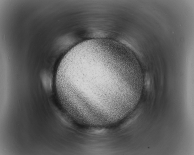 X0000088130206200705211122