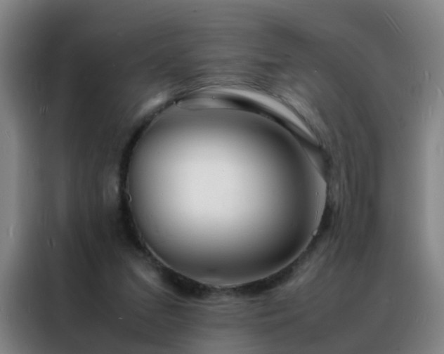 X0000088130207200705211122