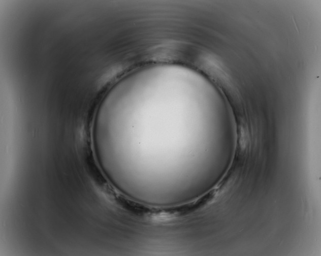 X0000088130208200705211122