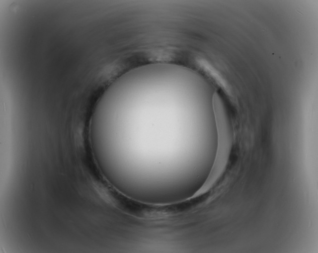 X0000088130209200705211122