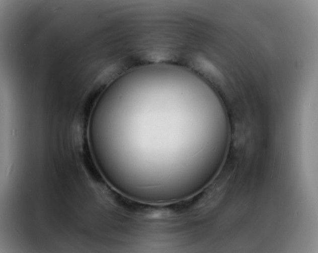 X0000088130210200705211122