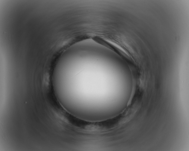 X0000088130211200705211122