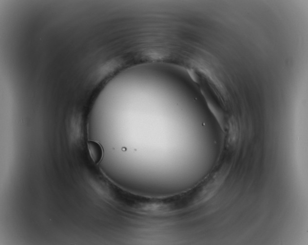 X0000088130212200705211122