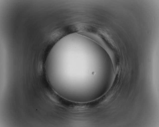 X0000088130213200705211122