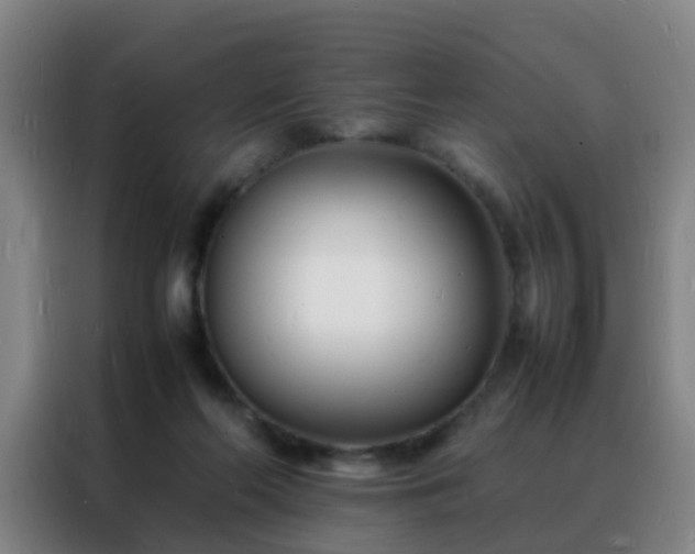 X0000088130214200705211122