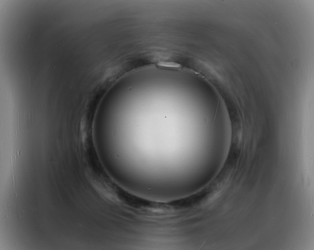 X0000088130215200705211122