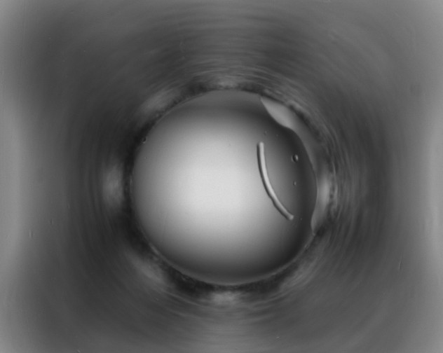 X0000088130216200705211122