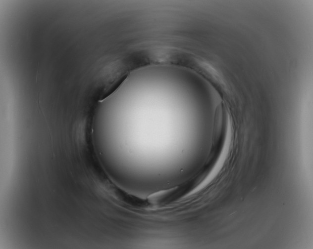 X0000088130217200705211122