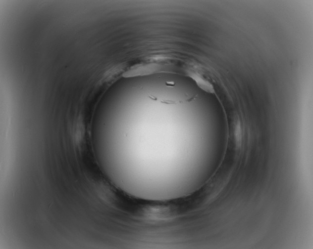 X0000088130220200705211122