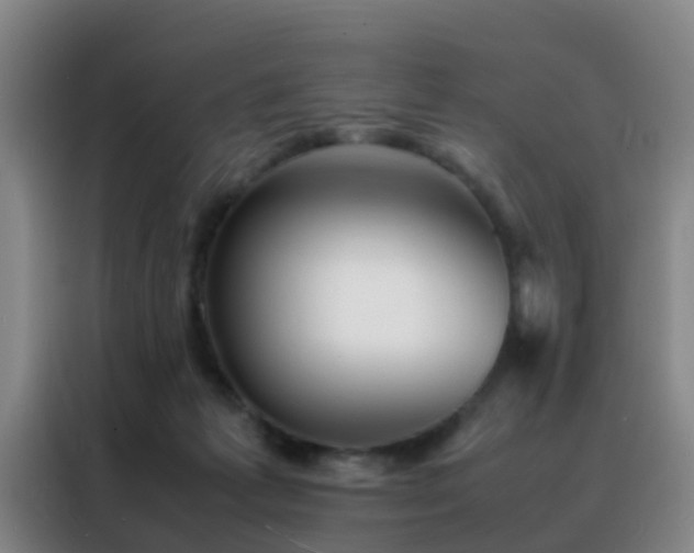 X0000088130221200705211122