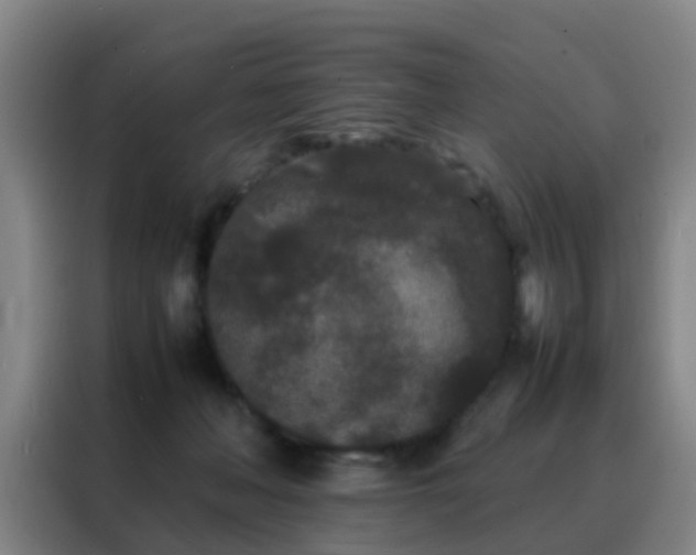 X0000088130222200705211122