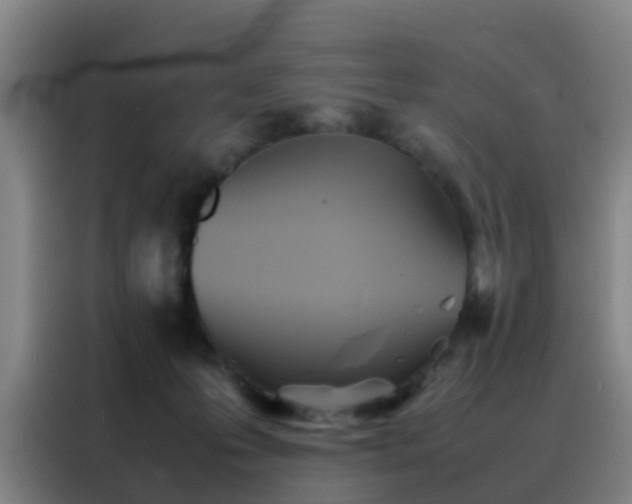 X0000088130223200705211122